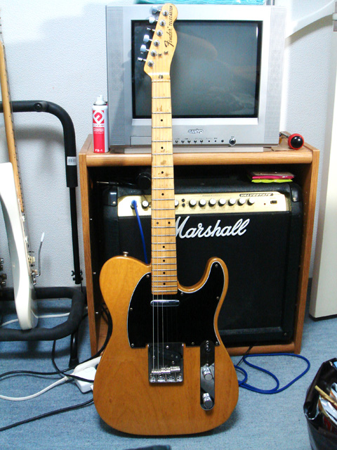 Fender Japan Telecaster 01 (2010-03-20 撮影)