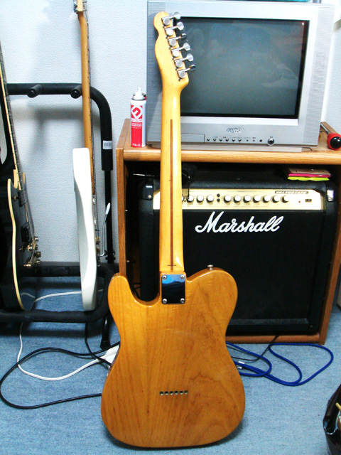Fender Japan Telecaster 02 (2010-03-20 撮影)