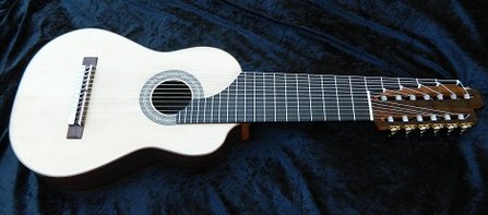 Alto Guitar 13 Strings 1