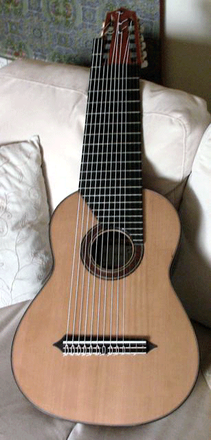 Unknown Acoustic 13 Strings 2